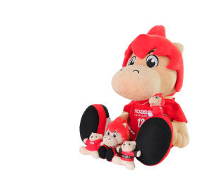 熊本のサッカーを盛り上げます！